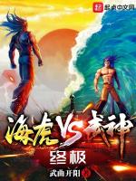 小说《海虎VS武神：终极》封面