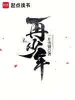小说《再少年》封面