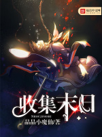 小说《收集末日》封面