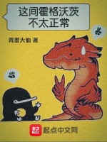 小说《这间霍格沃茨不太正常》封面