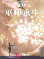 小说《霍格沃茨之巫师永生》封面