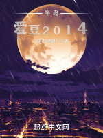 小说《半岛：爱豆2014》封面