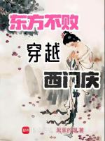 小说《东方不败穿越西门庆》封面