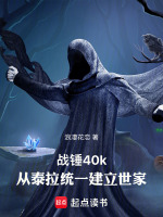 小说《战锤40k：从泰拉统一建立世家》封面
