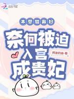 小说《本想做寡妇，奈何被迫入宫成贵妃》封面