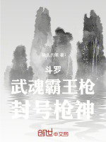 小说《斗罗：武魂霸王枪，封号枪神》封面