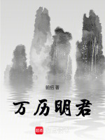 小说《万历明君》封面
