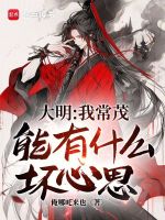 小说《大明：我常茂，能有什么坏心思？》封面