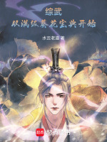 小说《综武：从满级葵花宝典开始》封面