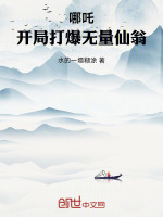 小说《哪吒：开局打爆无量仙翁》封面