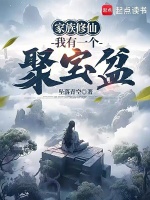 小说《家族修仙：我有一个聚宝盆》封面