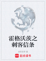 小说《霍格沃茨之刺客信条》封面