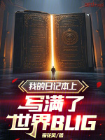 小说《我的日记本上写满了世界BUG》封面