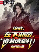 小说《综武：在下邪帝，诸君请跪拜！》封面
