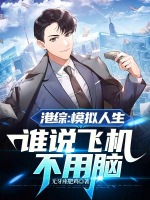 小说《港综：模拟人生，谁说飞机不用脑》封面