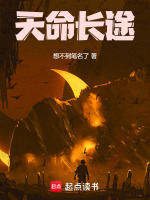 小说《天命长途》封面