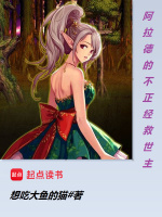 小说《阿拉德的不正经救世主》封面