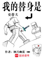 小说《我的替身是史蒂夫》封面