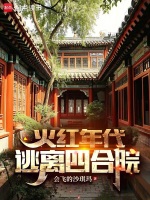 小说《火红年代：逃离四合院》封面