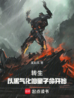 小说《转生：以黑气化仙童子命开始》封面