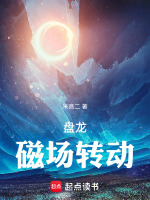 小说《盘龙，磁场转动》封面