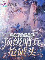 小说《恶毒向导太娇媚，顶级哨兵抢破头》封面