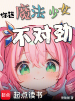小说《你这魔法少女不对劲》封面