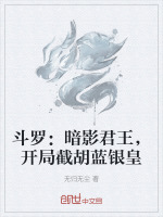 小说《斗罗：暗影君王，开局截胡蓝银皇》封面