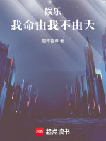 小说《娱乐：从1990年开始》封面