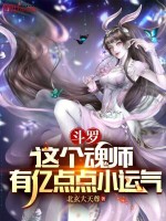 小说《斗罗：这个魂师有亿点点小运气》封面