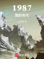 小说《1987我的年代》封面