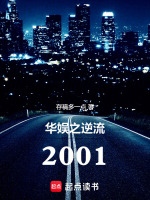 小说《华娱之逆流2001》封面