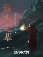 小说《逐火之辈》封面